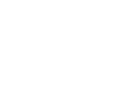 Monitor M1